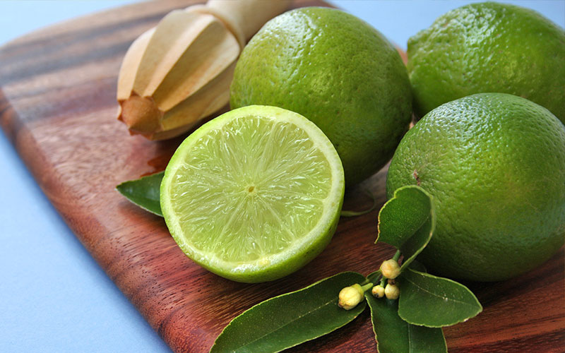 CITRUS TREES FOR SALE FORT MYERS