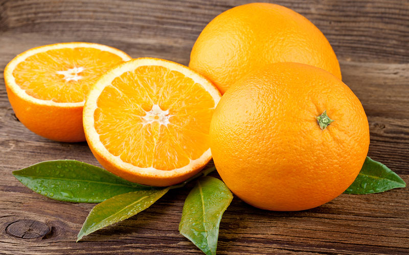 CITRUS TREES FOR SALE FORT MYERS