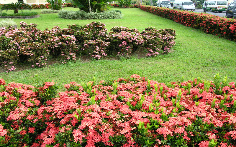 GARDEN CENTER FORT MYERS