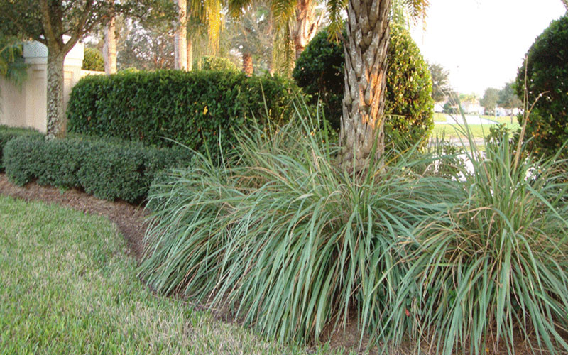 GARDEN CENTER FORT MYERS