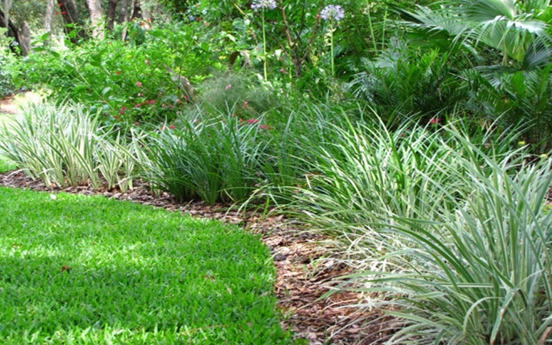 GARDEN CENTER FORT MYERS