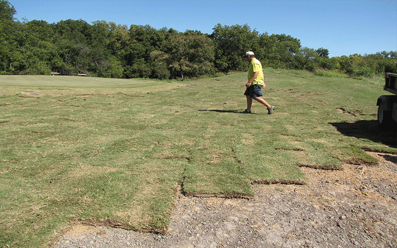 LAND CLEARING FORT MYERS