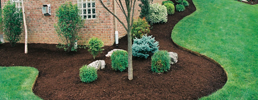 GARDEN CENTER FORT MYERS