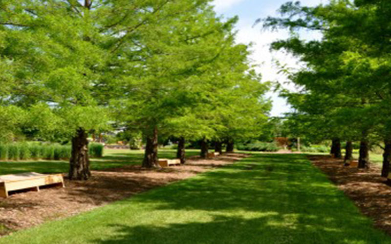 GARDEN CENTER FORT MYERS