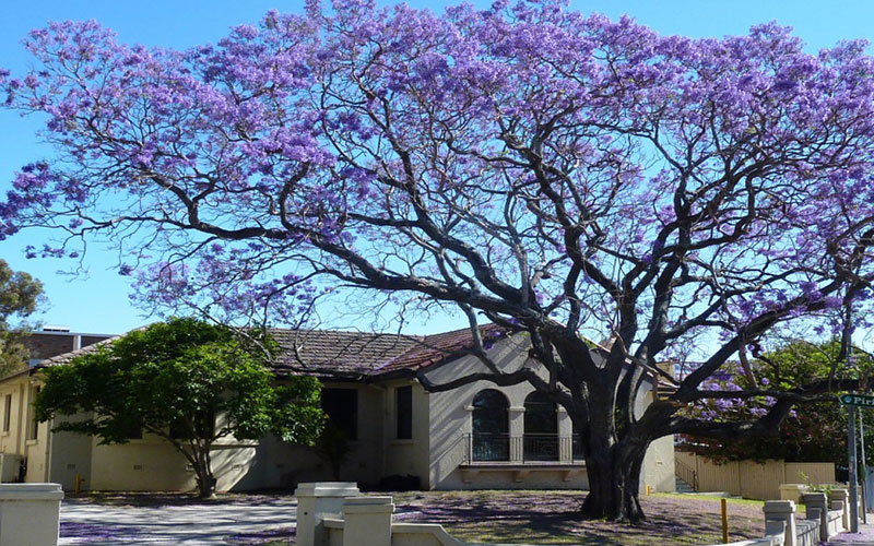 GARDEN CENTER FORT MYERS