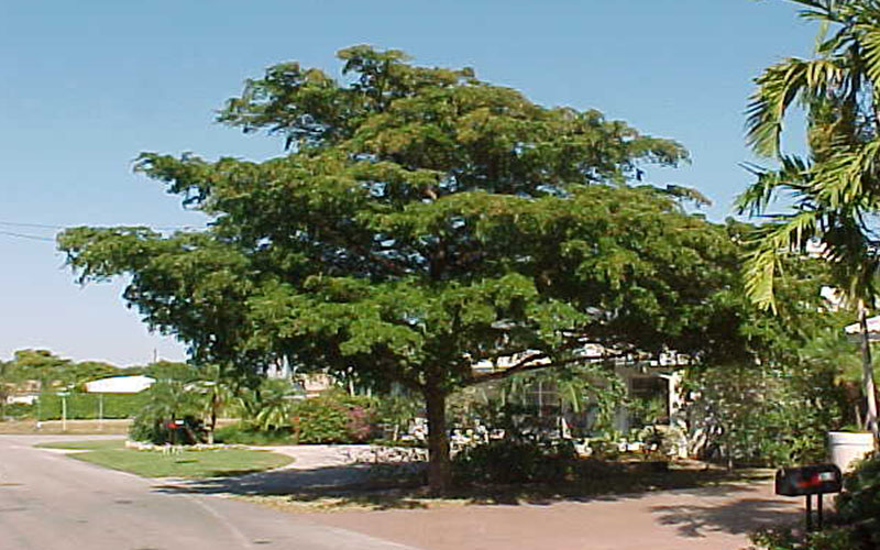 GARDEN CENTER FORT MYERS