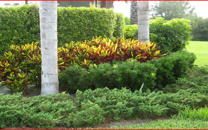 GARDEN CENTER FORT MYERS
