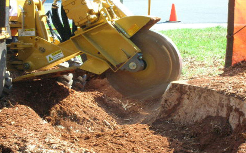 STUMP REMOVAL FORT MYERS