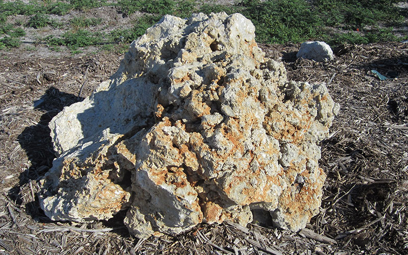 LANDSCAPE ROCKS FORT MYERS