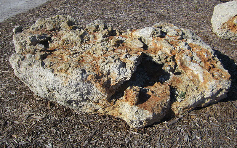 LANDSCAPE ROCKS FORT MYERS