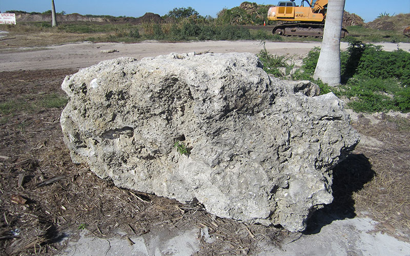 LANDSCAPE ROCKS FORT MYERS